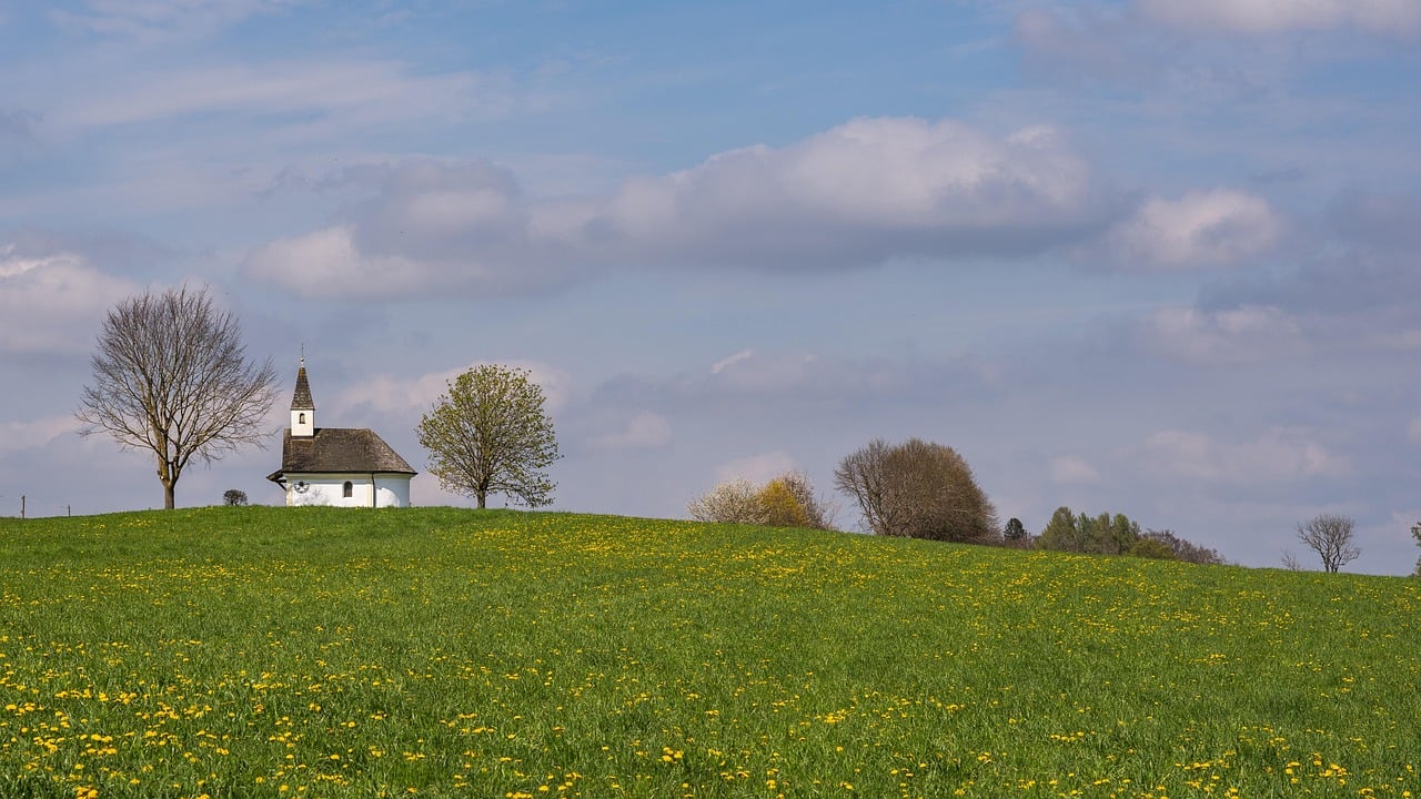 chapel, church, meadow, flower meadow, nature, hd background, landscape, rural, landscape, landscape, landscape, landscape, landscape