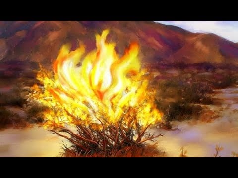 Dayton SDA Church – Sabbath School – 07.12.25