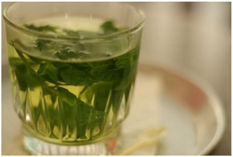 3 Herbs That Keep You Feeling Better