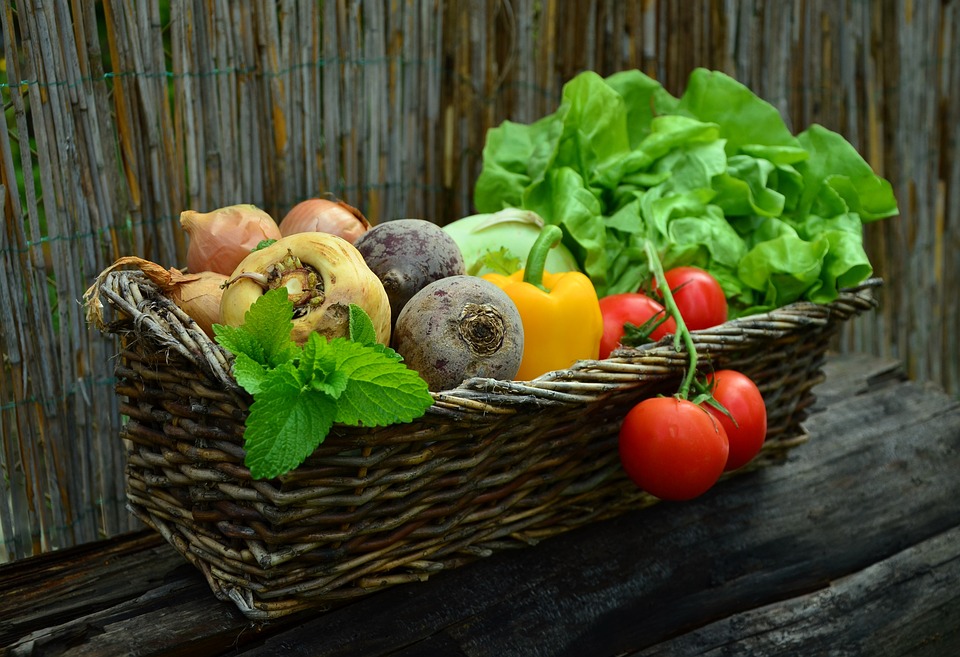 Meatless Monday