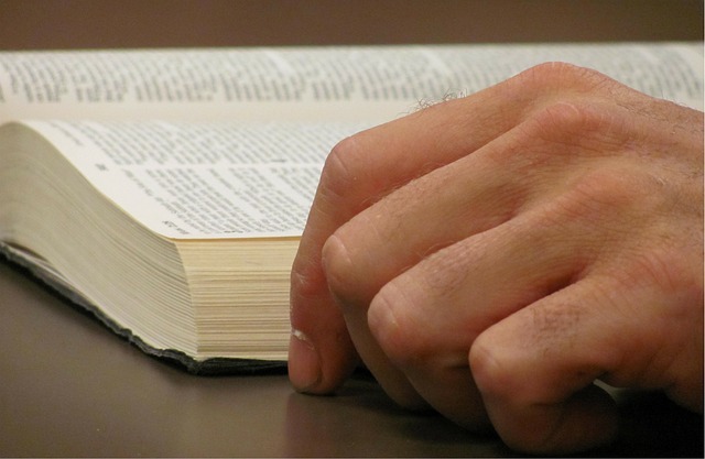 Group Bible Studies