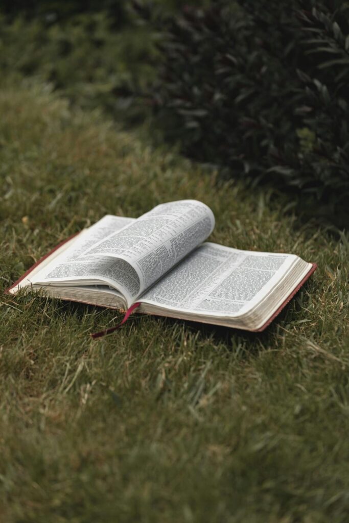 God’s Last Generation (part 1)