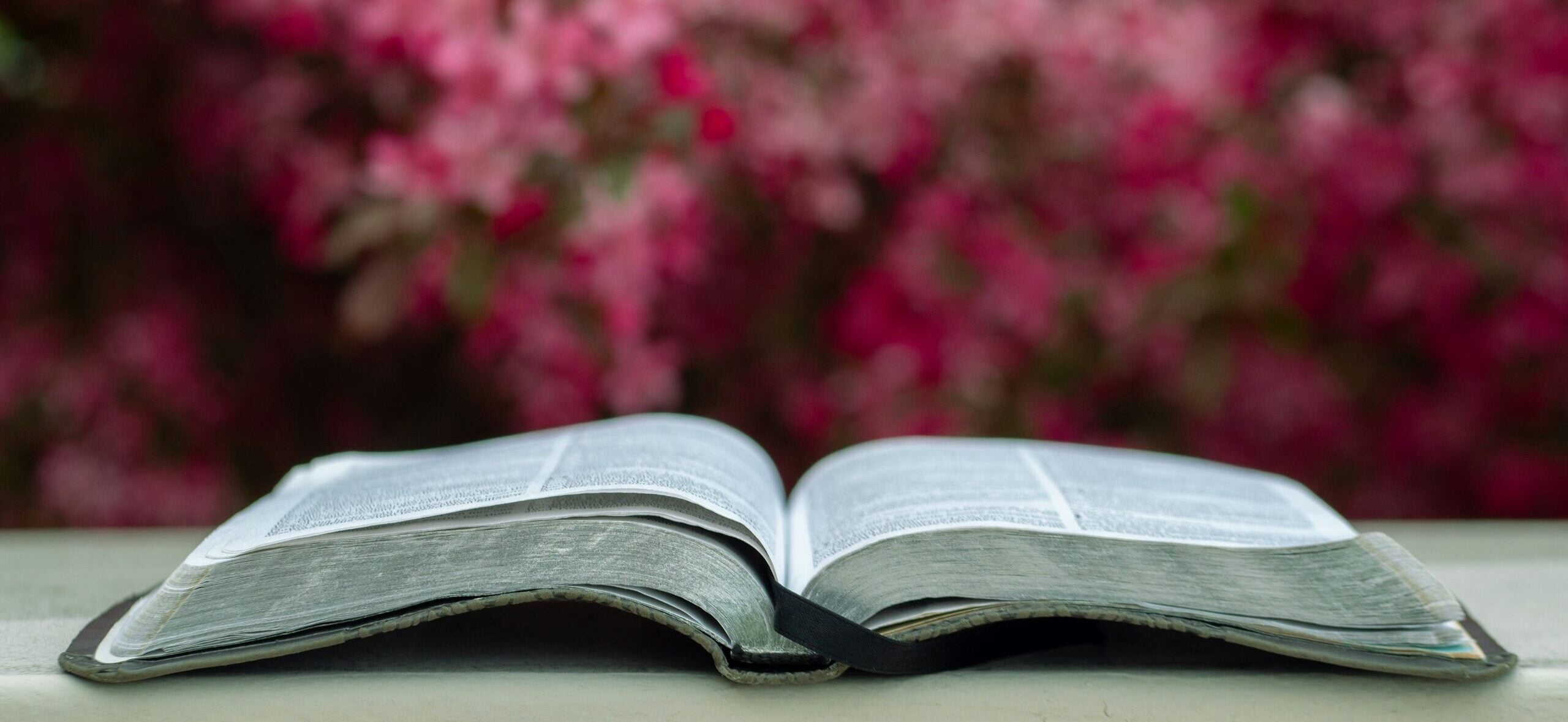 white and black labeled book selective focus photography