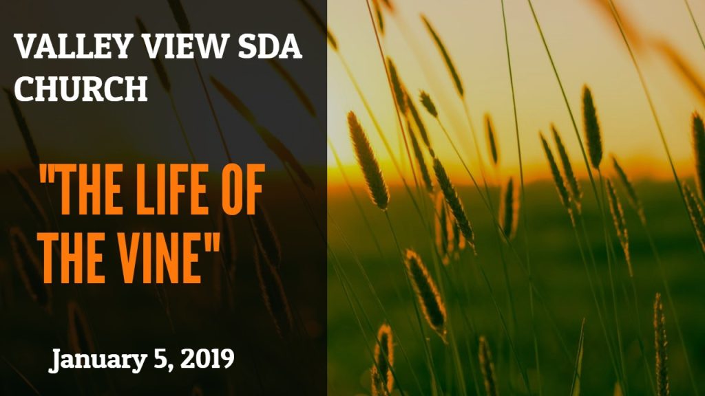 “The Life of the Vine”