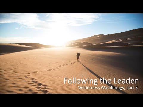 Wilderness Wanderings, pt 3: “Following the Leader”