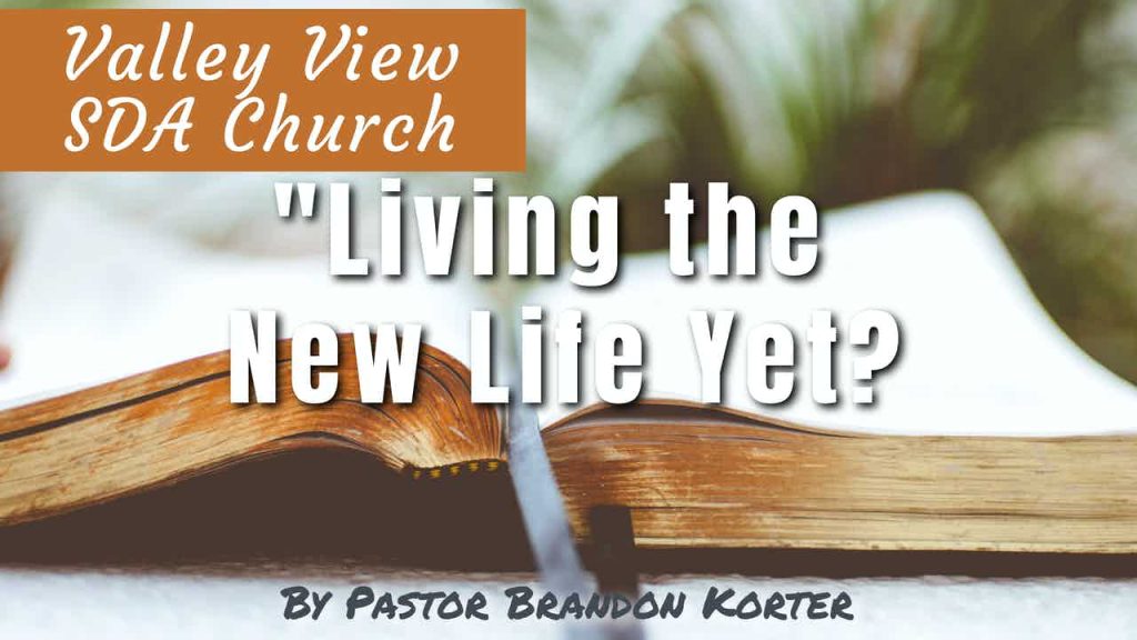 “Living the New Life Yet?”