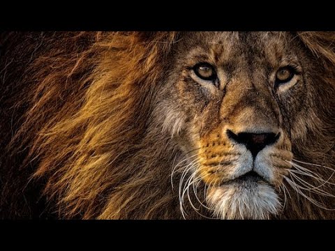Limiting God | Elder Bill McClendon | June 24, 2023