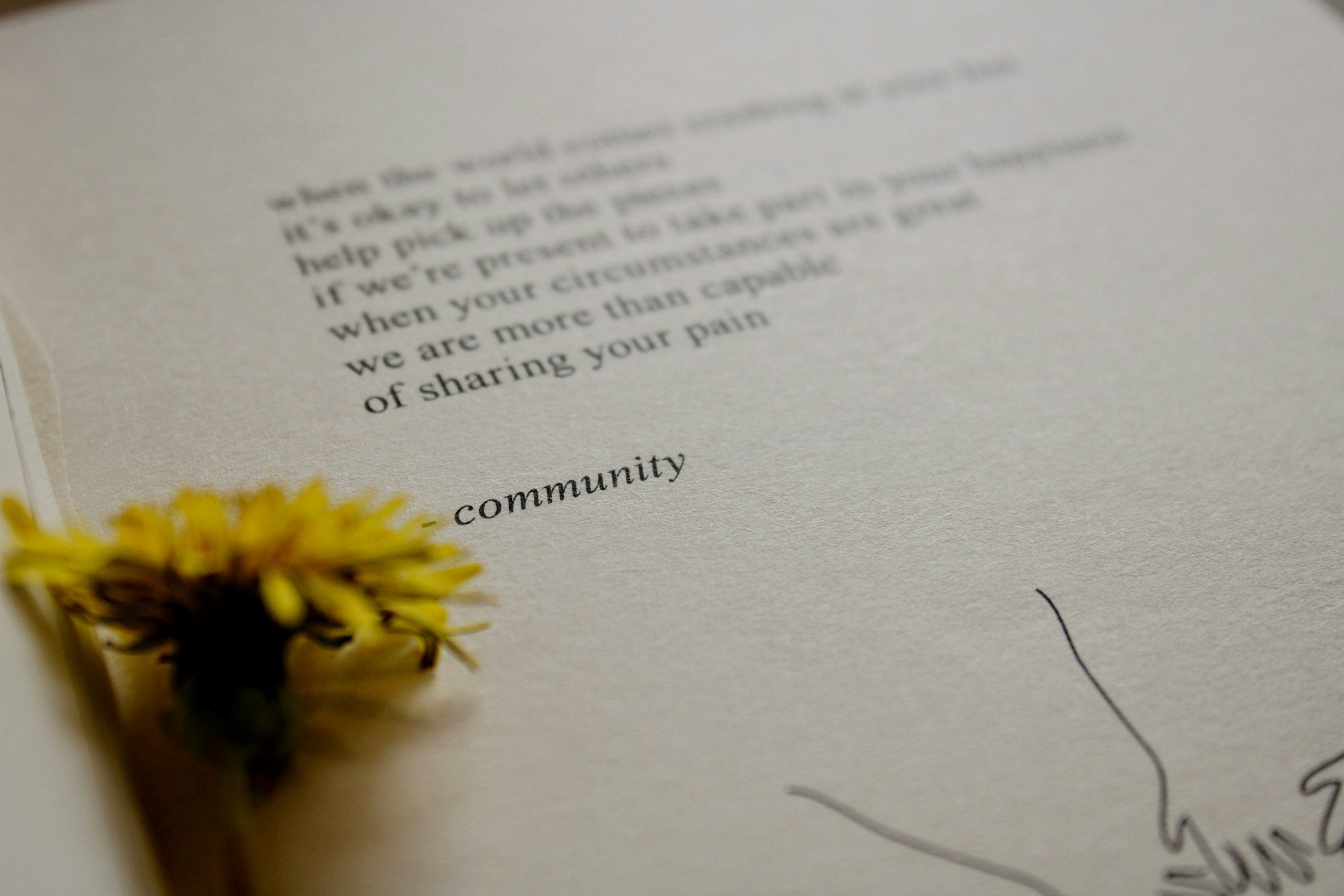 yellow flower on white printer paper