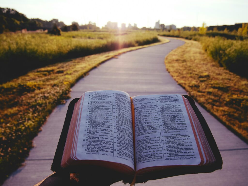 Free Bible Studies