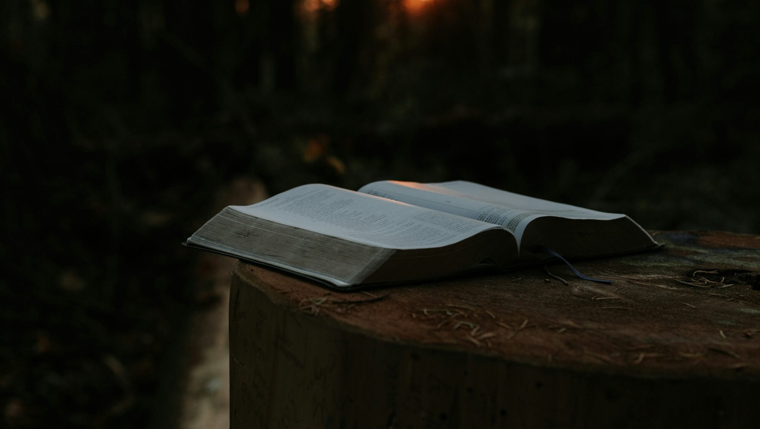 opened book page