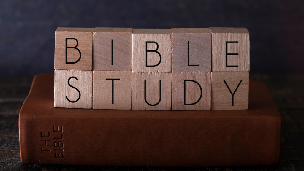 Daily Bible Reading Plan