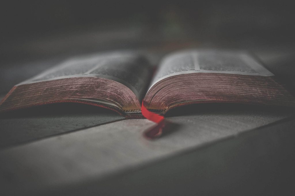 Bible Study Guides