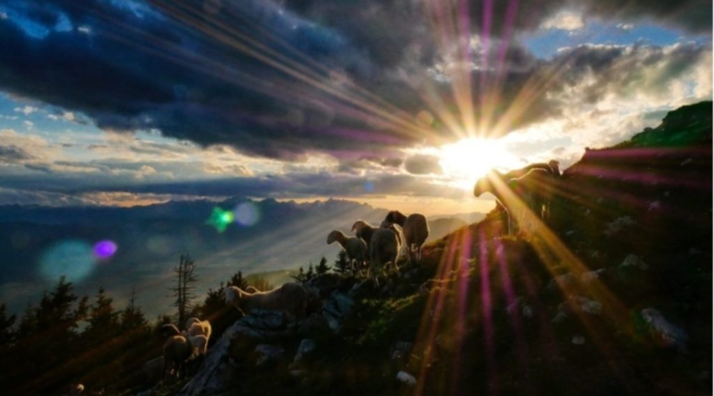 The Call – Pastoral Installation Service