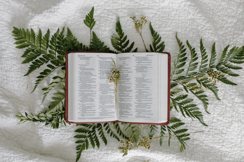 Bible Study Guides