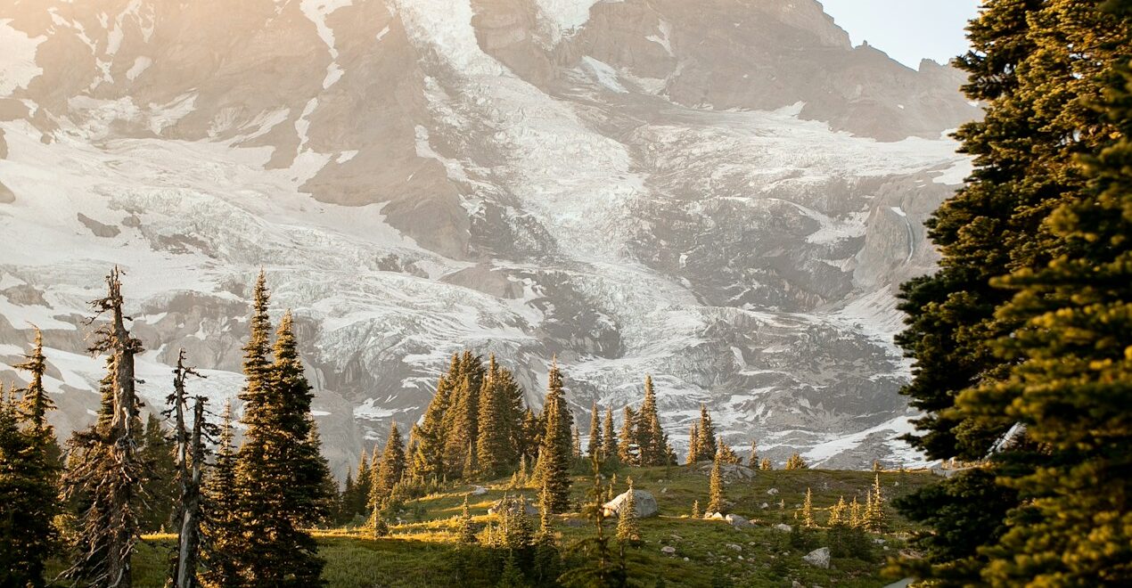 A winding path leads towards a snow-capped mountain.