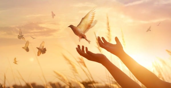 Freedom From Anxiety