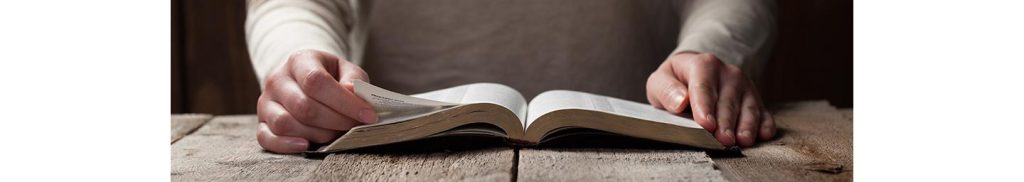 Discover Bible School