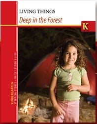 Deep in the Forest cover