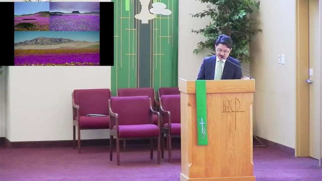 The Banality of Sin