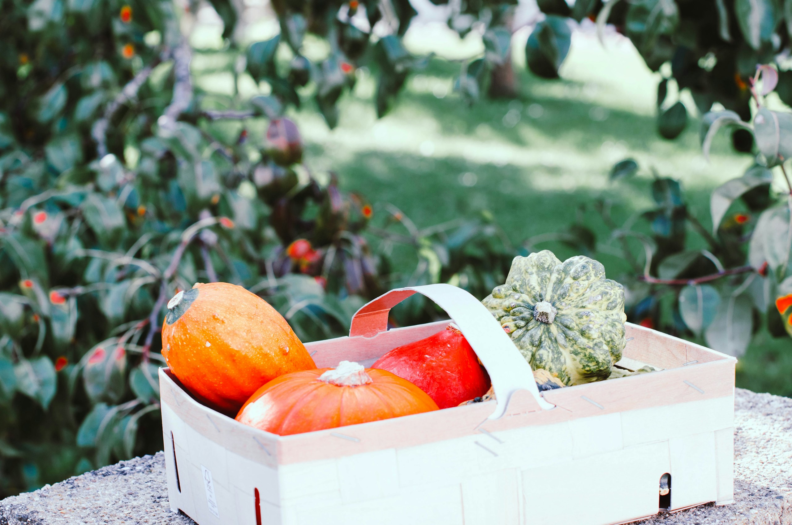 a box of fruits