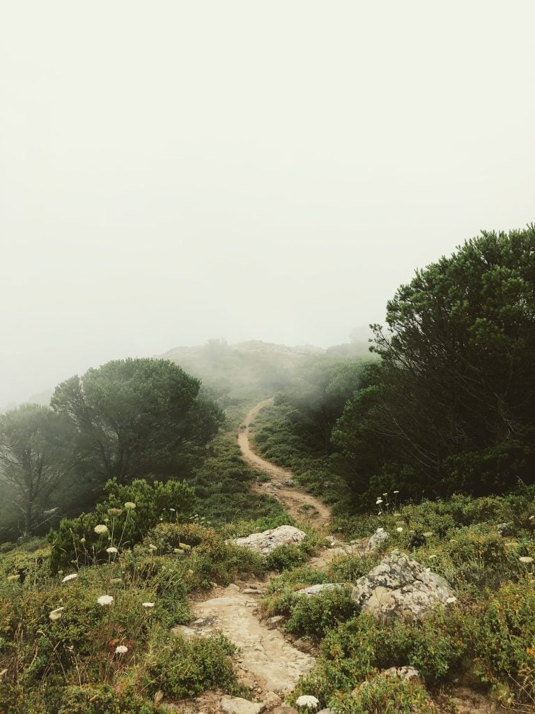 I Wanna Walk In That Way…