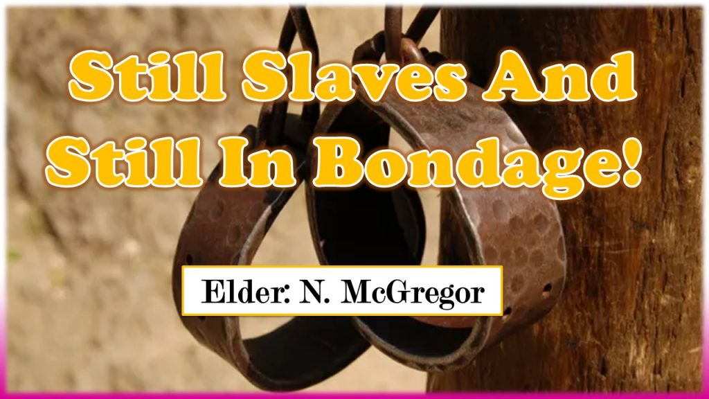 Still Slaves And Still In Bondage!