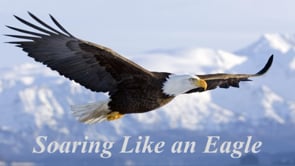 Soaring Like an Eagle