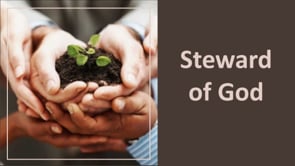 Steward of God