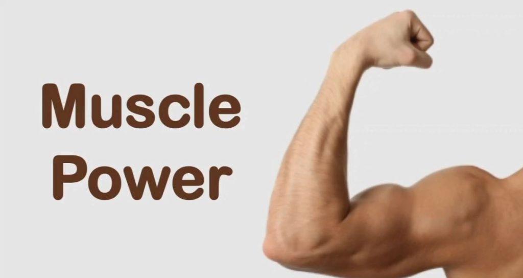 Muscle Power