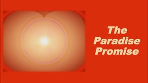 The Paradise Promise