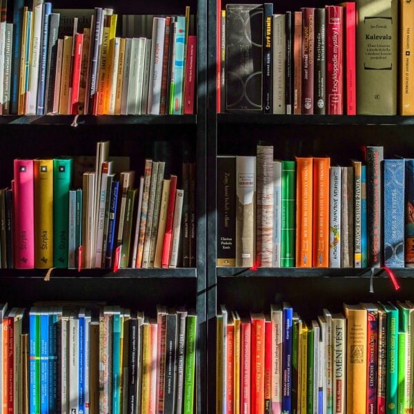 christmas background, books, bookstore, reading, writer, read, reader, colors, shelf, education, library, knowledge, novels