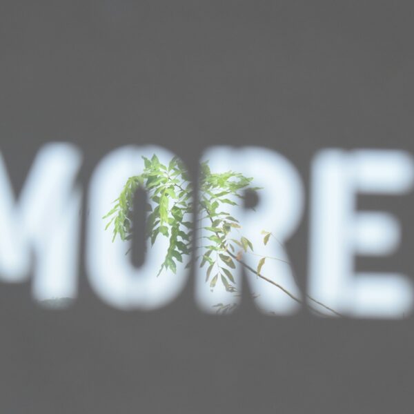 a blurry picture of the word more on a wall