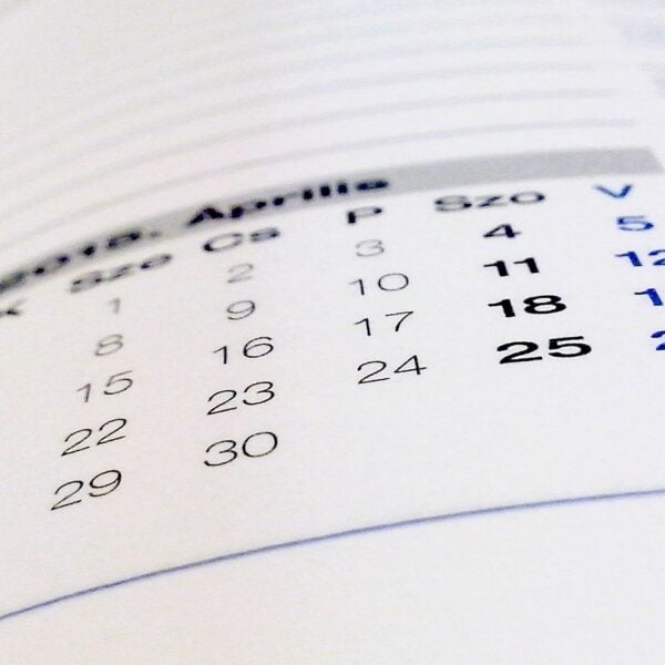 book, calendar, paper, calendar, calendar, calendar, calendar, calendar