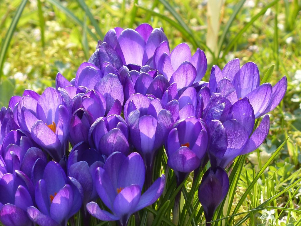 Newsletter April May 2025