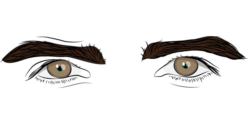 Job 15 Chosen Sight and Hidden Blindness