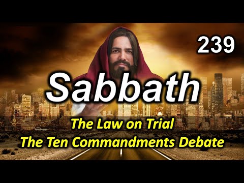 239 The Law on Trial in Society