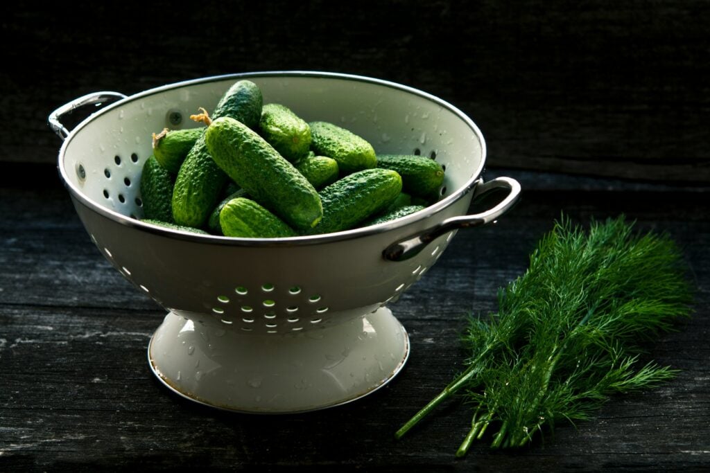 Cucumbers and Pickles!