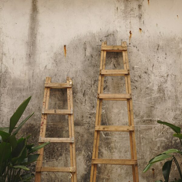 Going Up and Down!