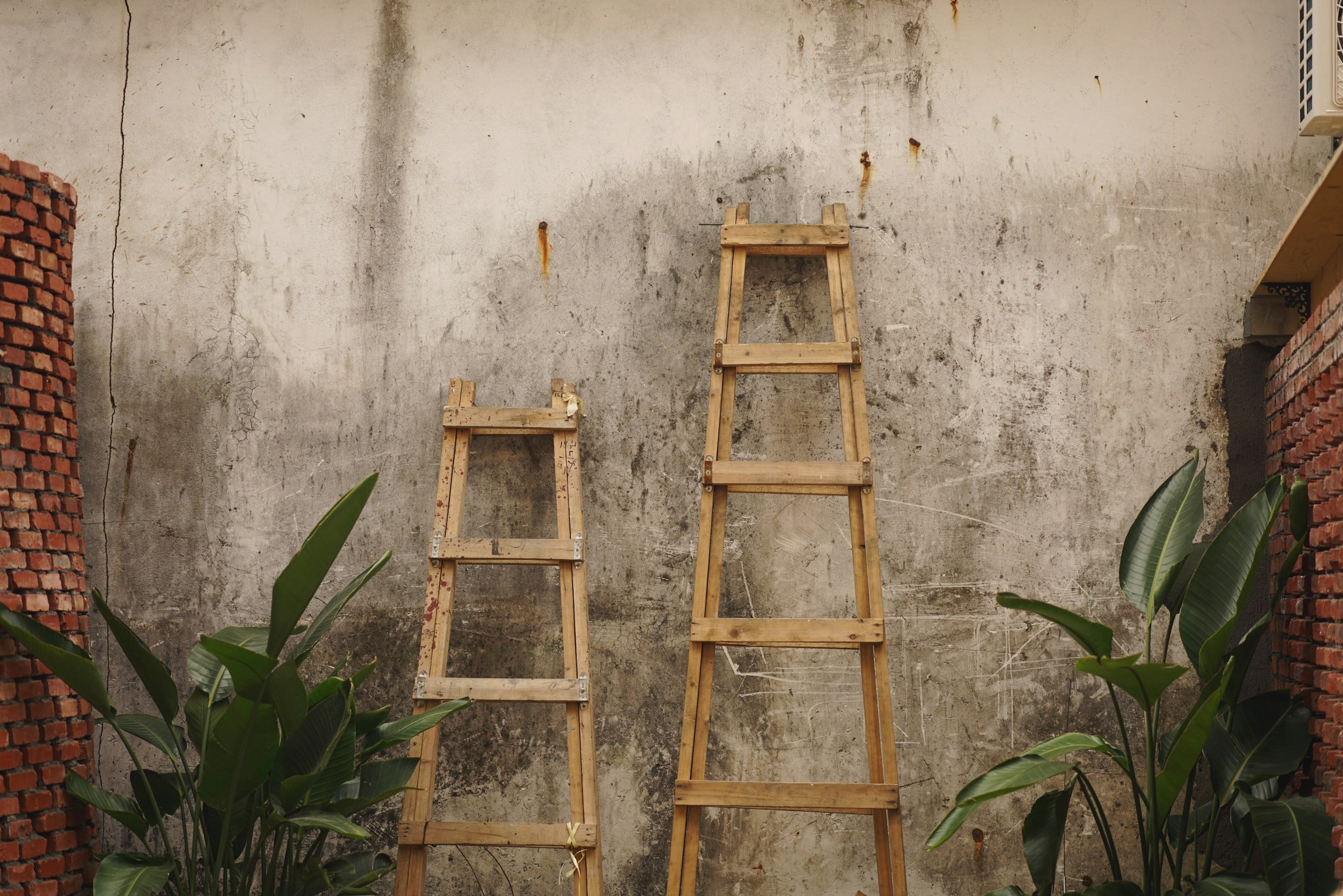 two brown wooden ladders