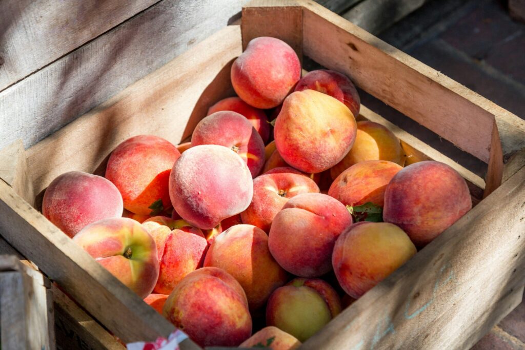 Garry brought home some peaches! Yum!