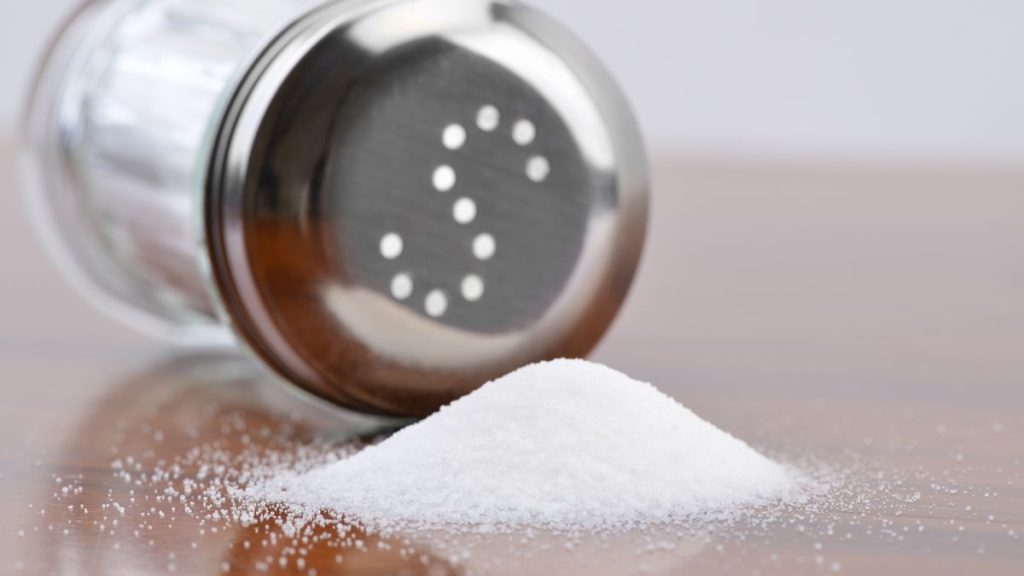 CHAPTER 2I – “Ye are the salt of the earth.”