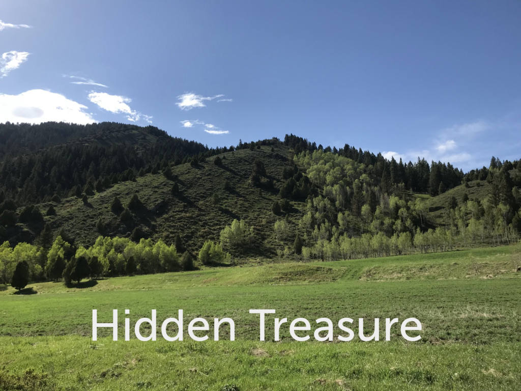 Hidden Treasure