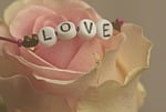 What Does Love Require?