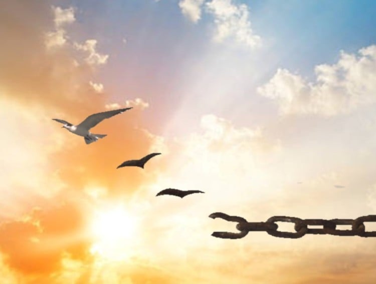 “Prisoners” of Praise