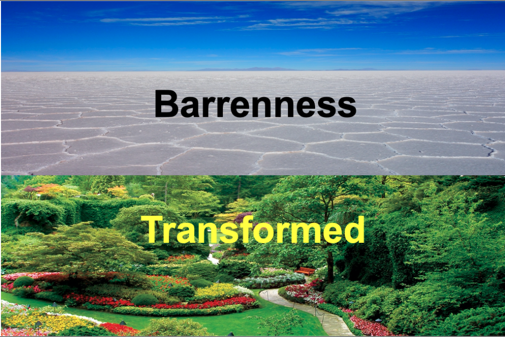 Barrenness Transformed