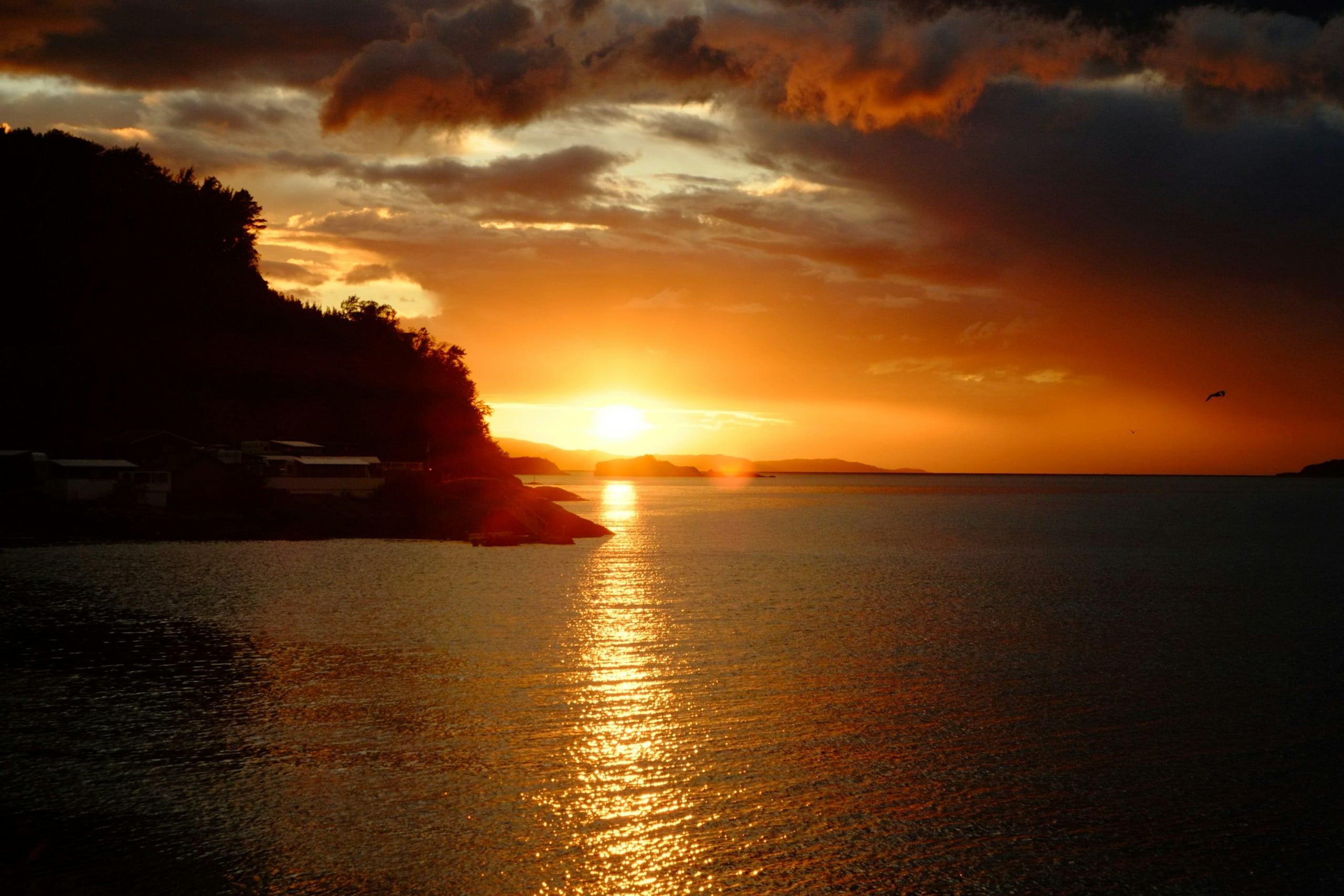 Golden sunset over a calm ocean and island