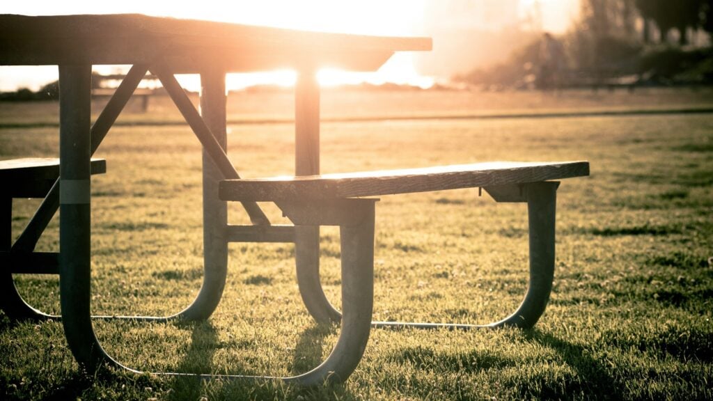 Fun Day Picnic