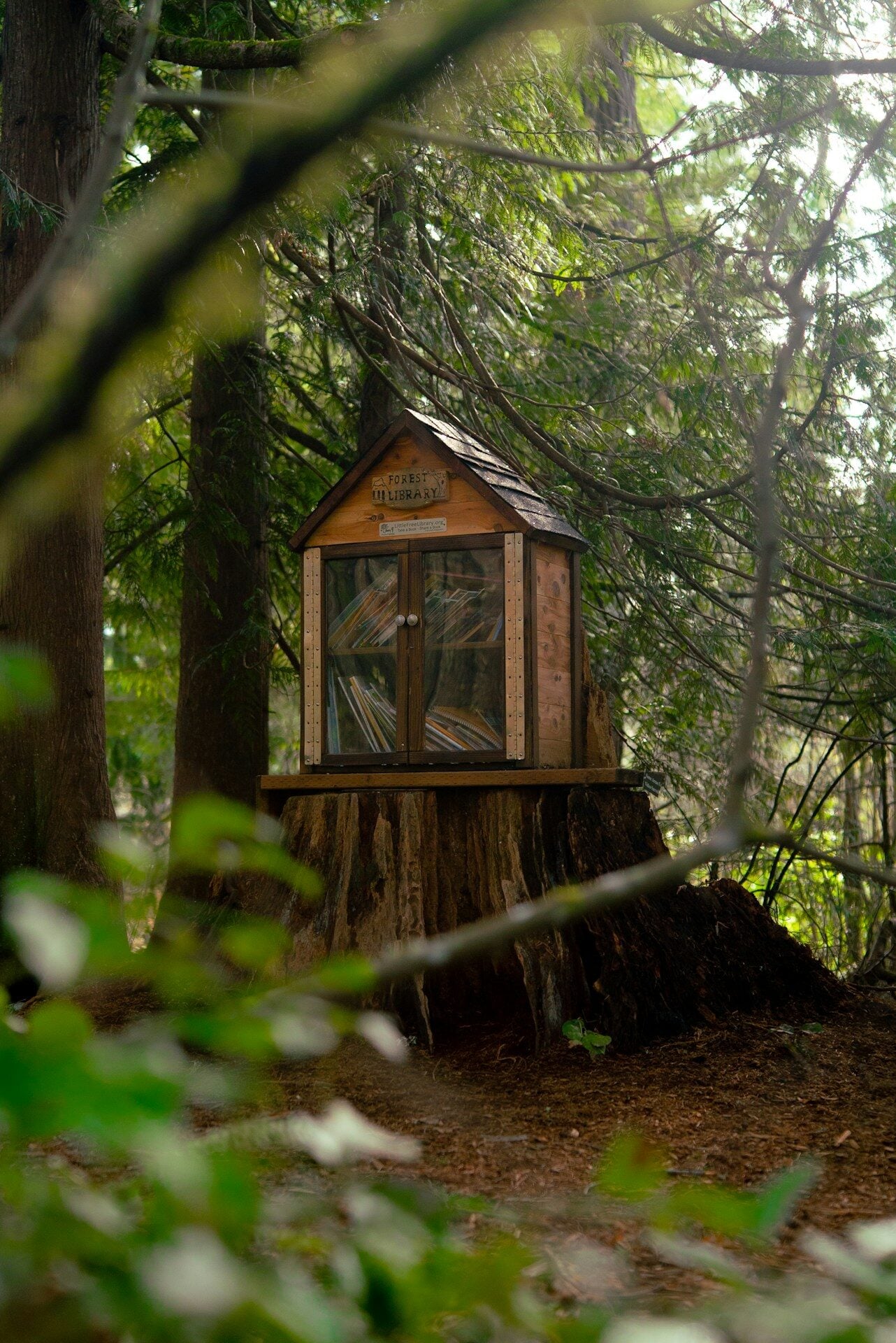 a small wooden structure in the middle of a forest