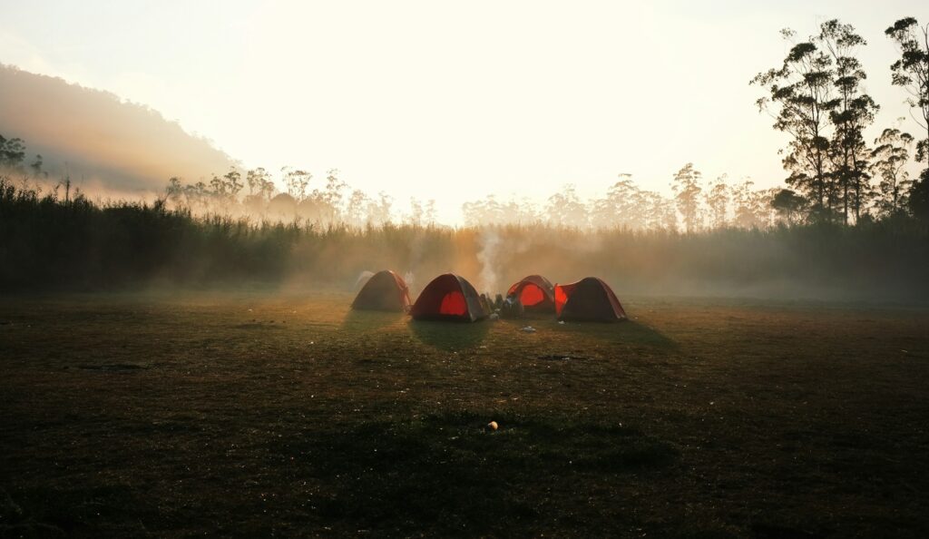four red dome tent surrounded by trees