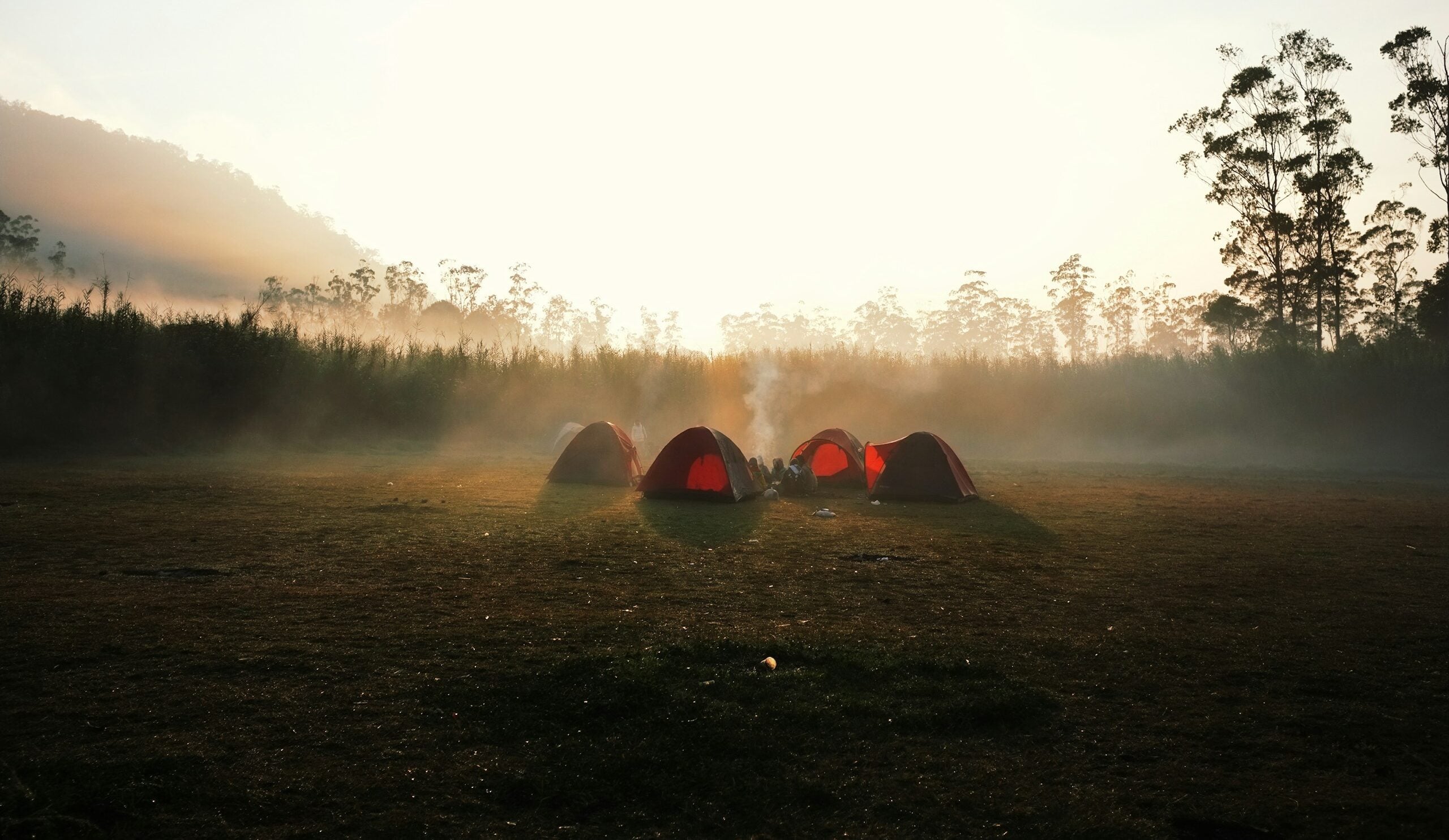 four red dome tent surrounded by trees